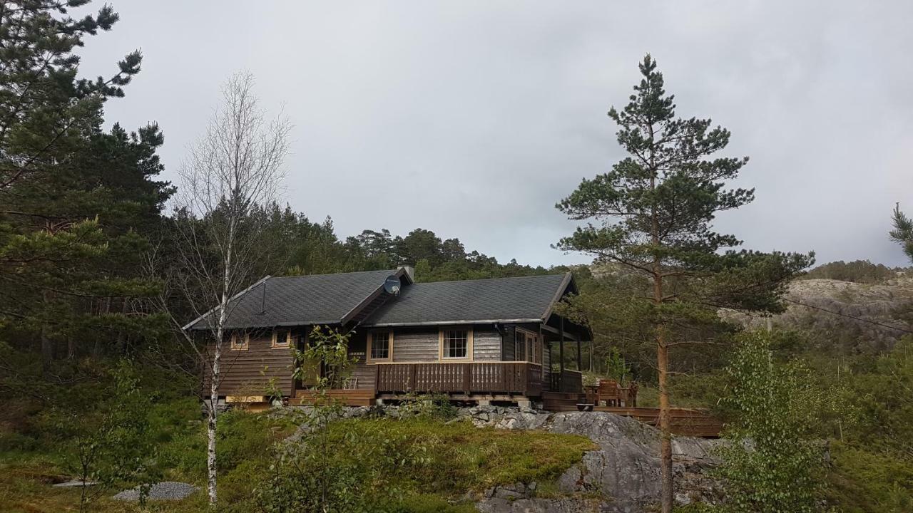 Molvik Hytten Villa Ostereidet Exteriör bild