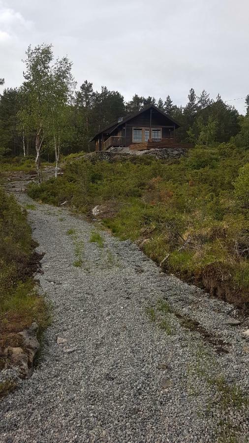 Molvik Hytten Villa Ostereidet Exteriör bild