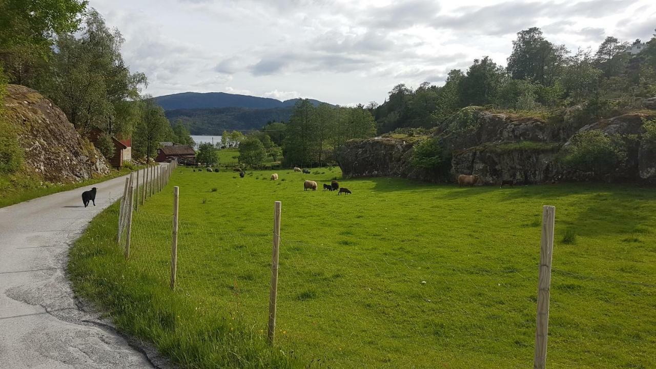 Molvik Hytten Villa Ostereidet Exteriör bild