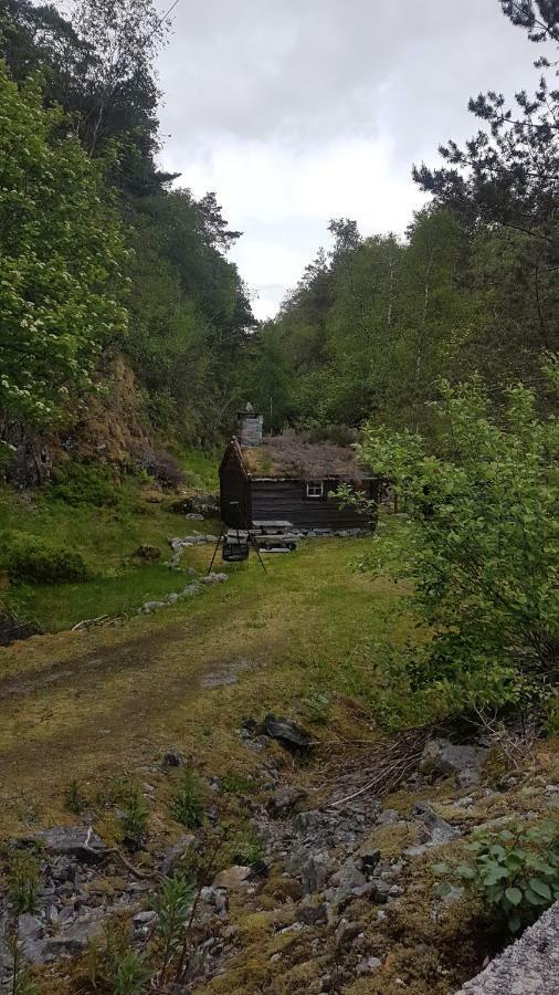 Molvik Hytten Villa Ostereidet Exteriör bild
