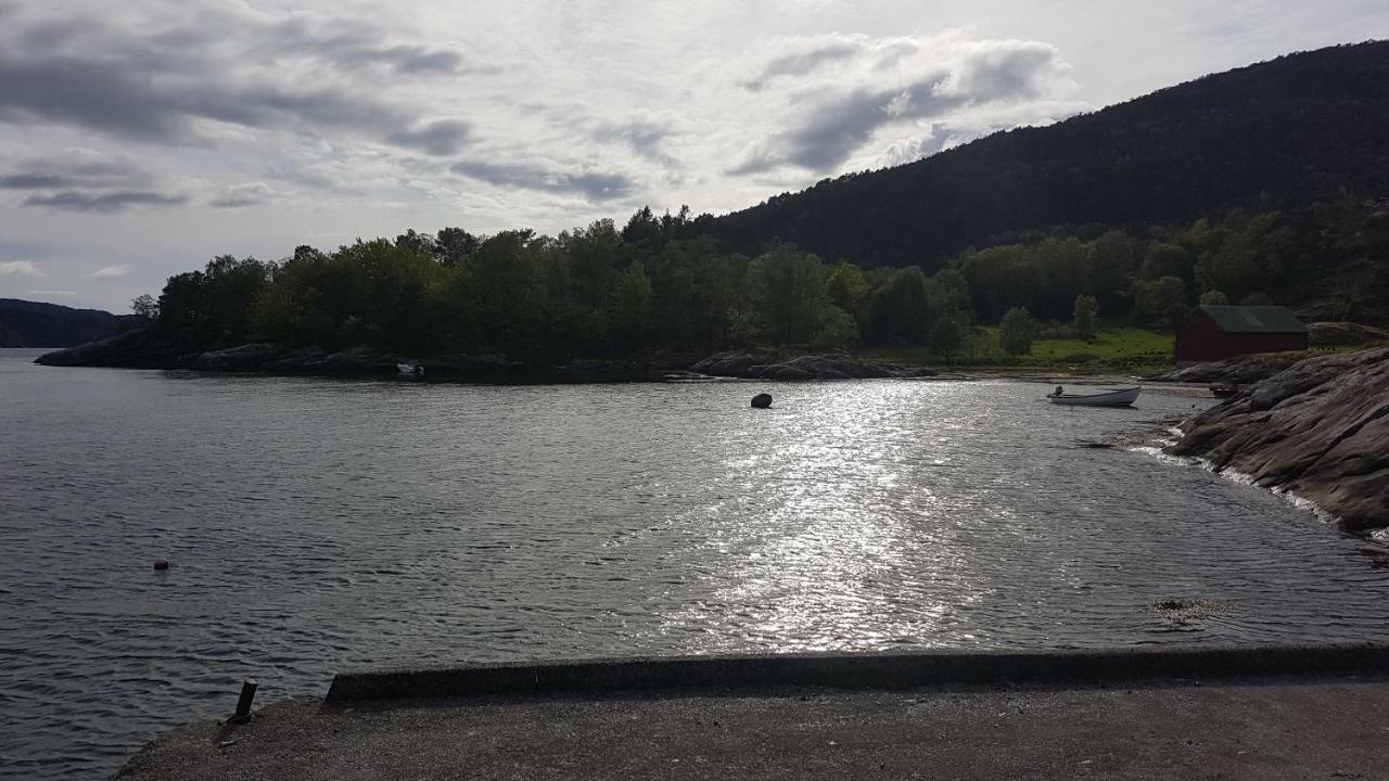 Molvik Hytten Villa Ostereidet Exteriör bild